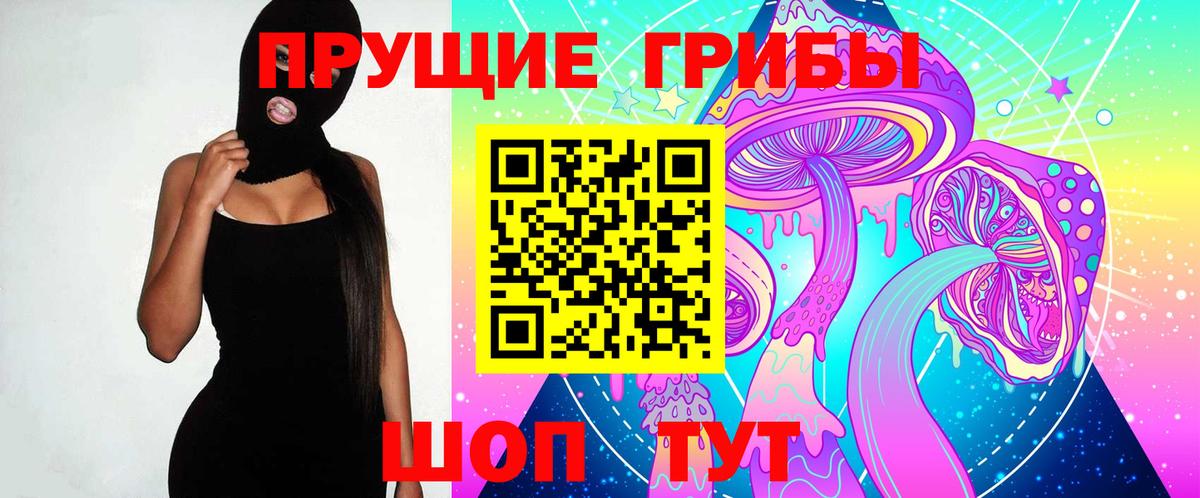 Псилоцибиновые грибы GOLDEN TEACHER Волгодонск