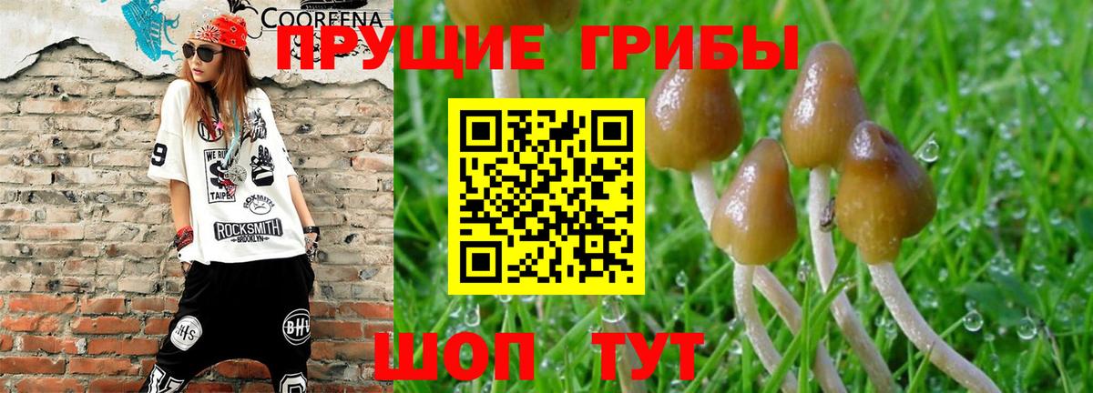 Псилоцибиновые грибы Magic Shrooms  Псилоцибиновые грибы Psilocybe  Волгодонск  Вход с VPN 